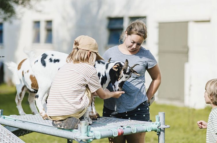 Boerderijvakantie 't Donderswal