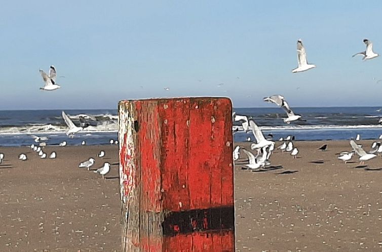 Villata, de Krim Texel