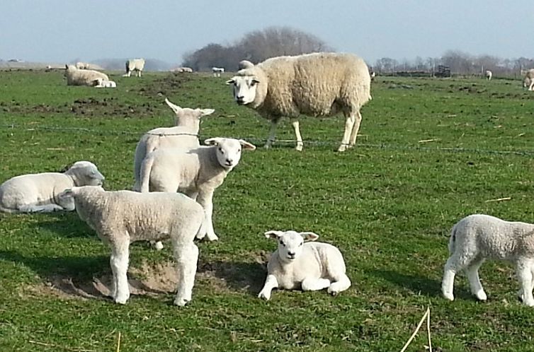 Villata, de Krim Texel