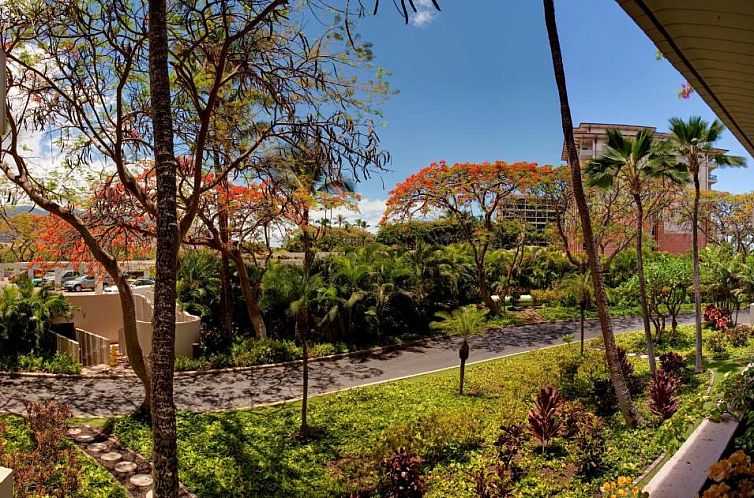 Kaanapali Alii, a Destination by Hyatt Residence