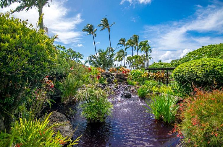 Napili Shores Maui by Outrigger - No Resort & Housekeeping F