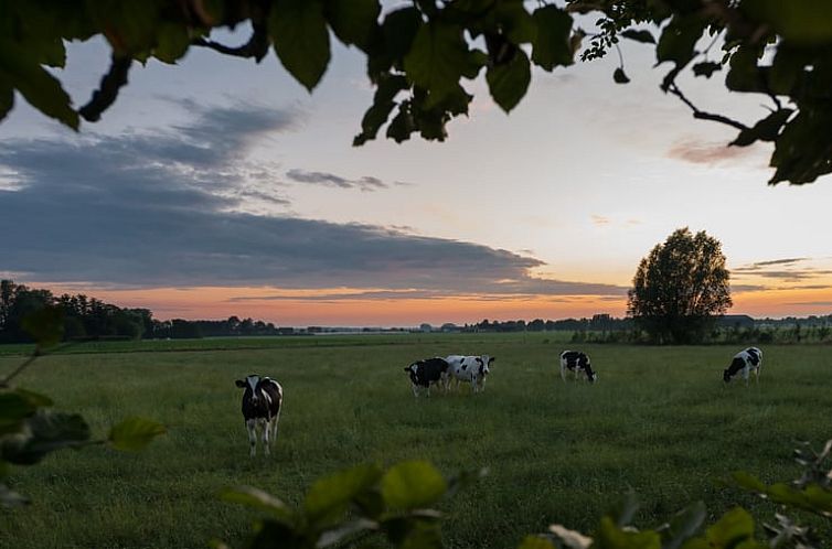 Vakantiehuisje in Wingene