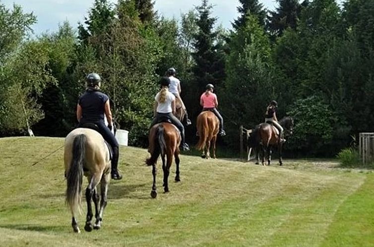 Huisje in Großefehn