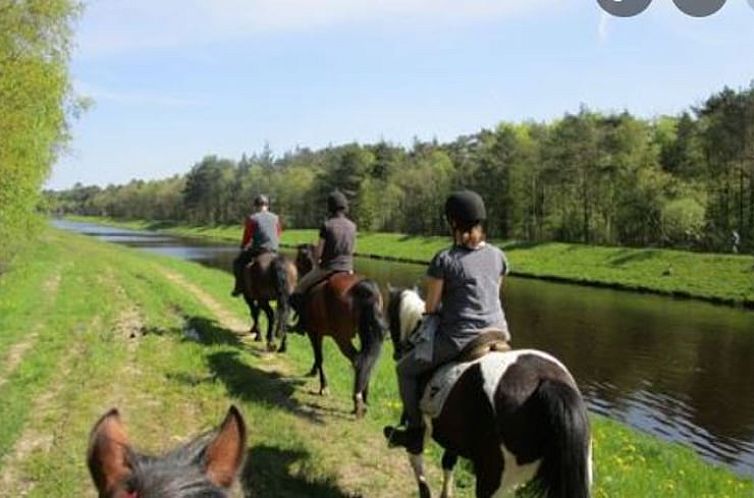 Vakantiehuisje in Großefehn