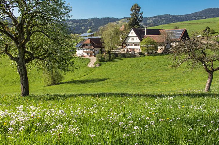 Vakantiehuis in Oberharmersbach