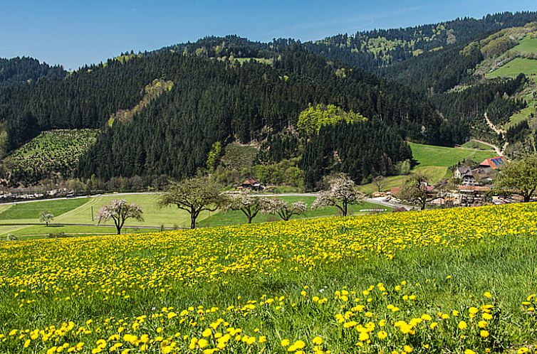 Vakantiehuis in Oberharmersbach