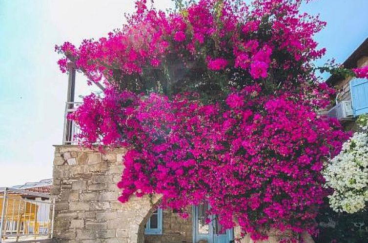 Cyprus Villages Agrotourism