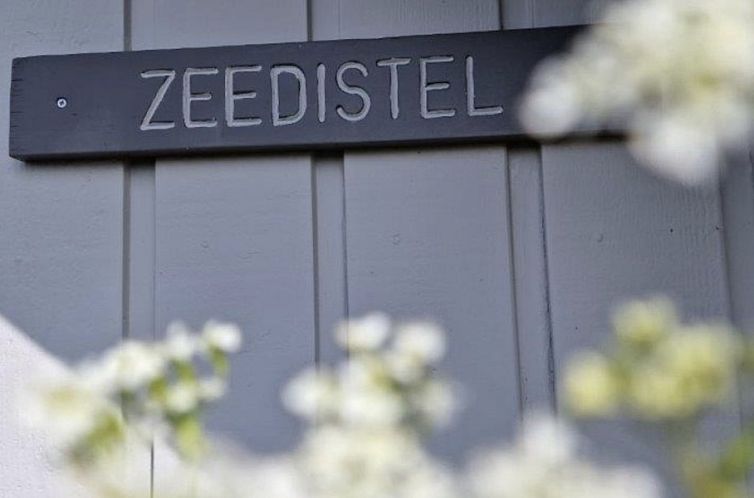 Zeedistel