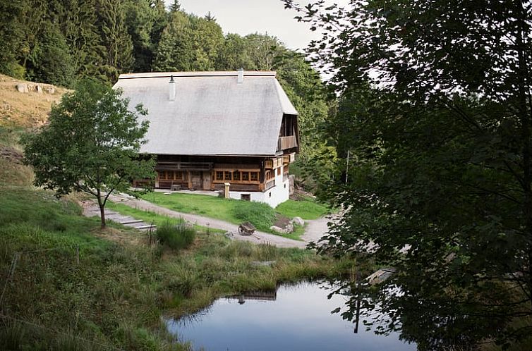 Vakantiehuis in Schonach