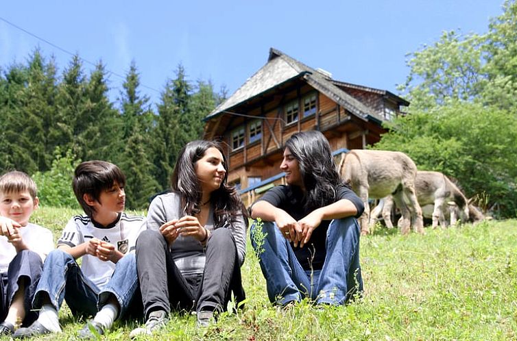 Vakantiehuis in Triberg