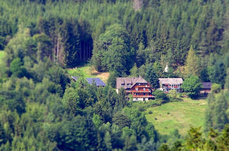 Vakantiehuis in Triberg