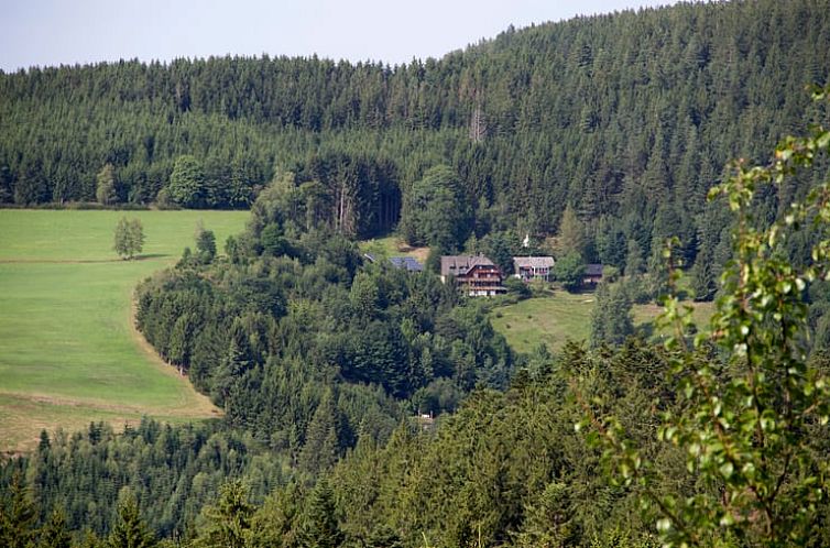 Vakantiehuis in Triberg