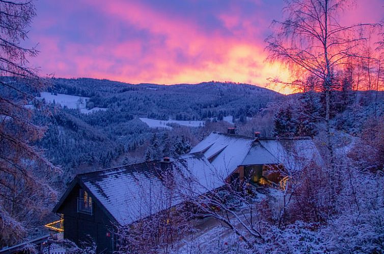 Vakantiehuis in Triberg