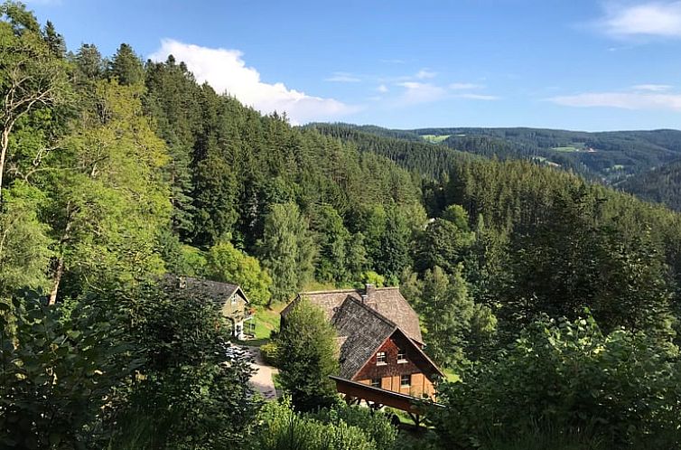 Vakantiehuis in Triberg