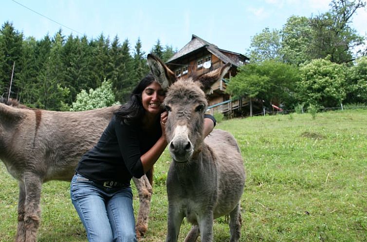 Vakantiehuis in Triberg