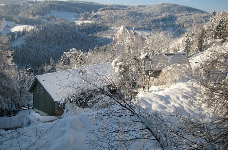 Vakantiehuis in Triberg