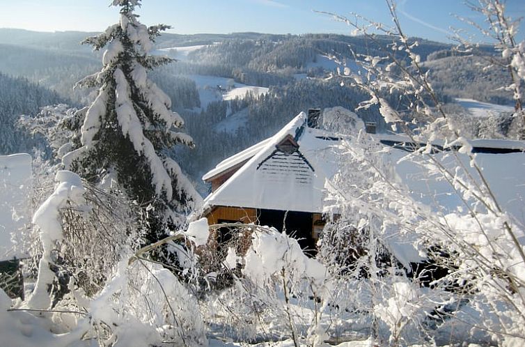 Vakantiehuis in Triberg