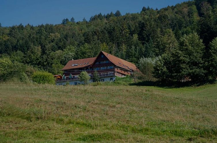 Huisje in Schwaibach