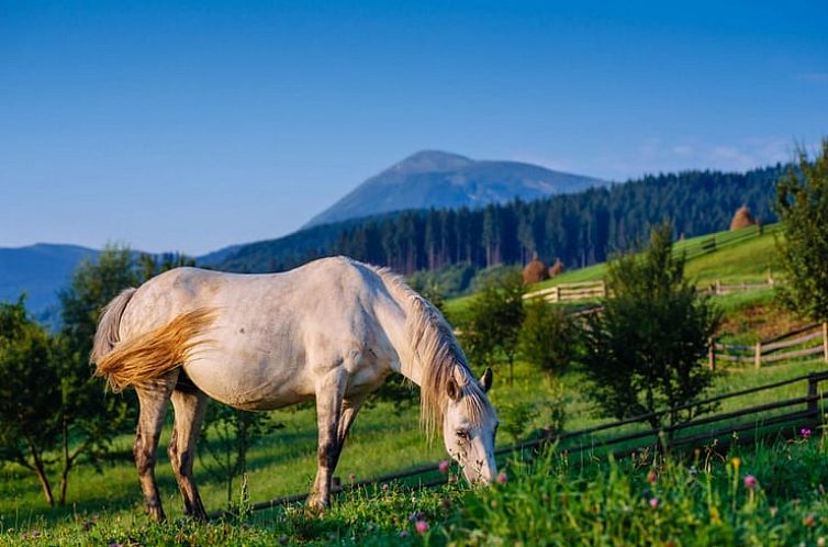 Huisje in Schwaibach