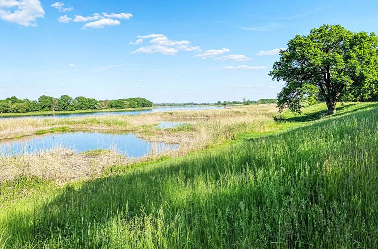 Vakantiehuis Idylle an der Oder