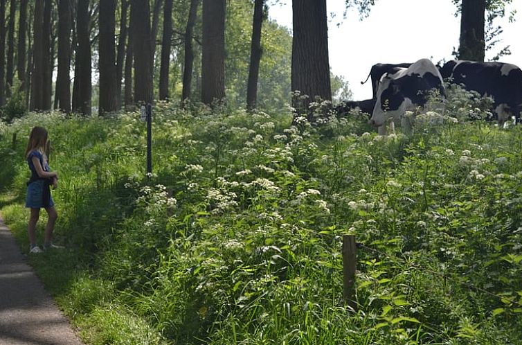 Vakantiehuisje in Maldegem