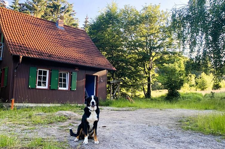 Vakantiehuis in Wernigerode