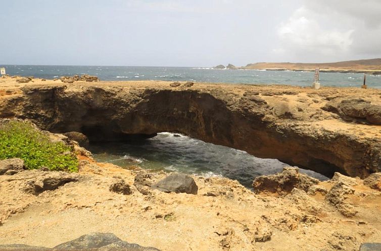 Karibu Aruba Boutique Hotel