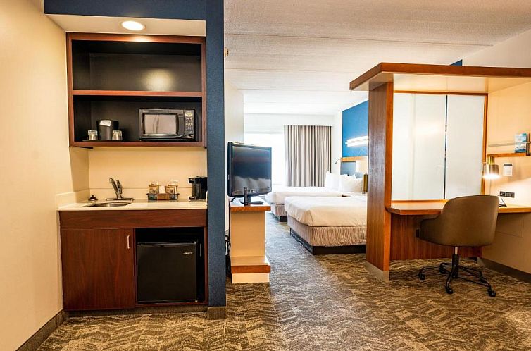 Springhill Suites by Marriott San Antonio Alamo Plaza/Conven