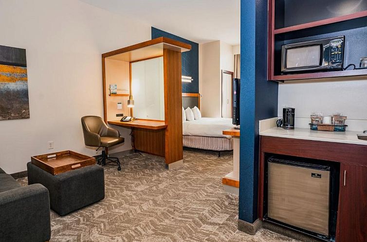 Springhill Suites by Marriott San Antonio Alamo Plaza/Conven