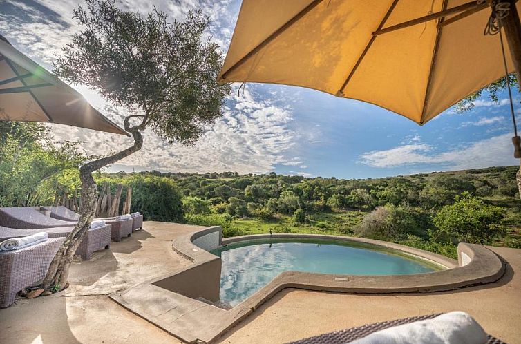 Safari Lodge - Amakhala Game Reserve