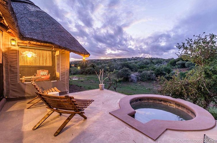 Safari Lodge - Amakhala Game Reserve