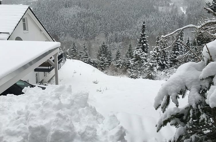 Vakantiehuisje in Willingen