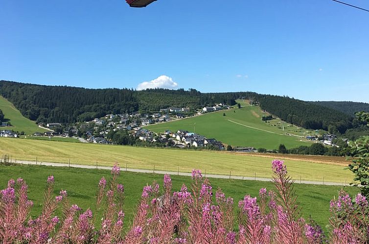 Vakantiehuisje in Willingen