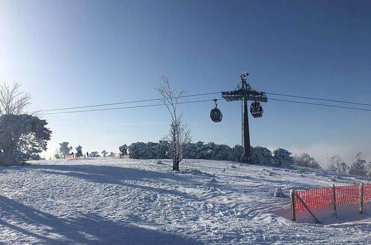 Vakantiehuisje in Willingen