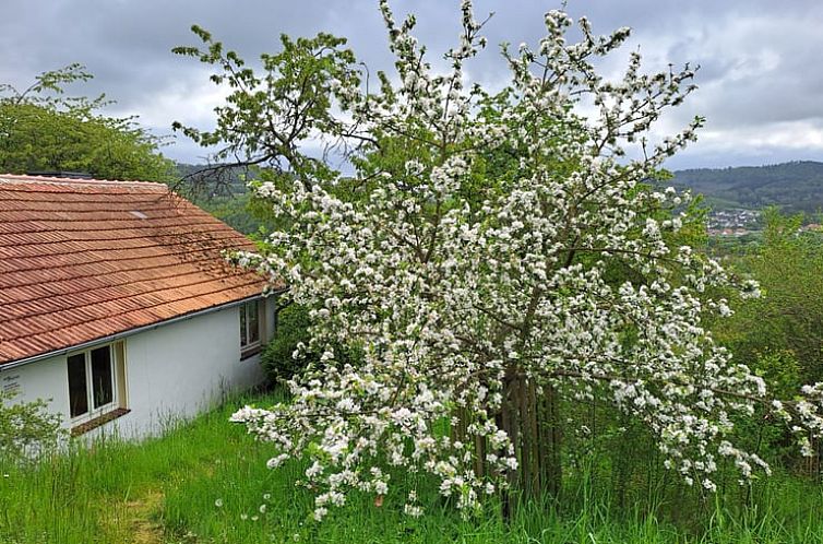 Vakantiehuisje in Spangenberg-Elbersdorf