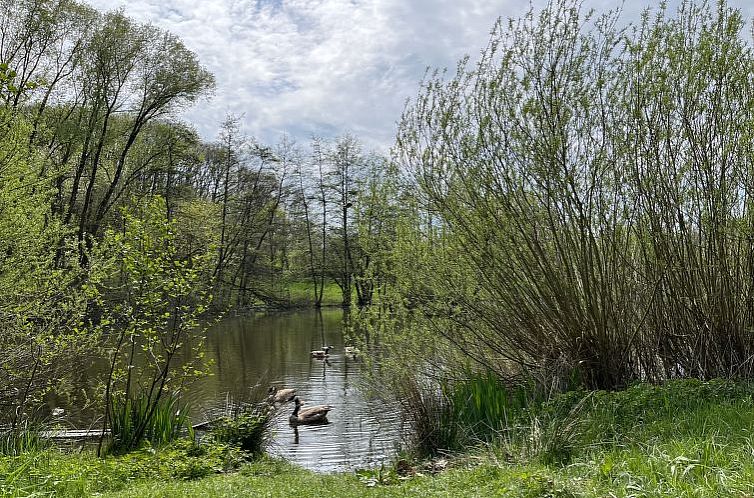 Vakantiehuis Sorgenfrei