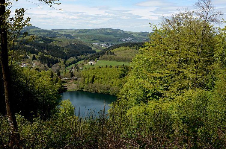 Ferienwohnungen Alte Schmiede