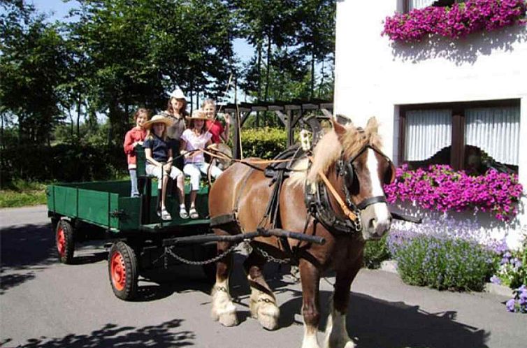 Mooi 12 persoons boerderijappartement nabij Monschau - Eifel