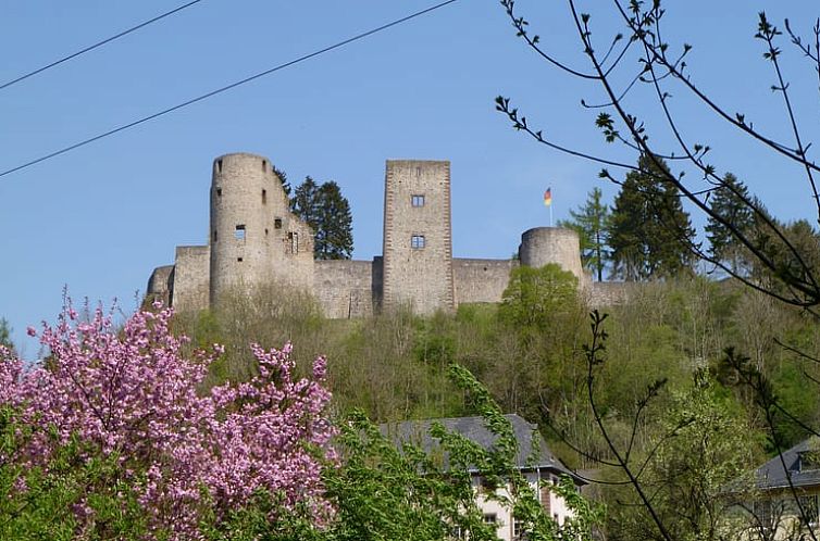 Huisje in Schönecken