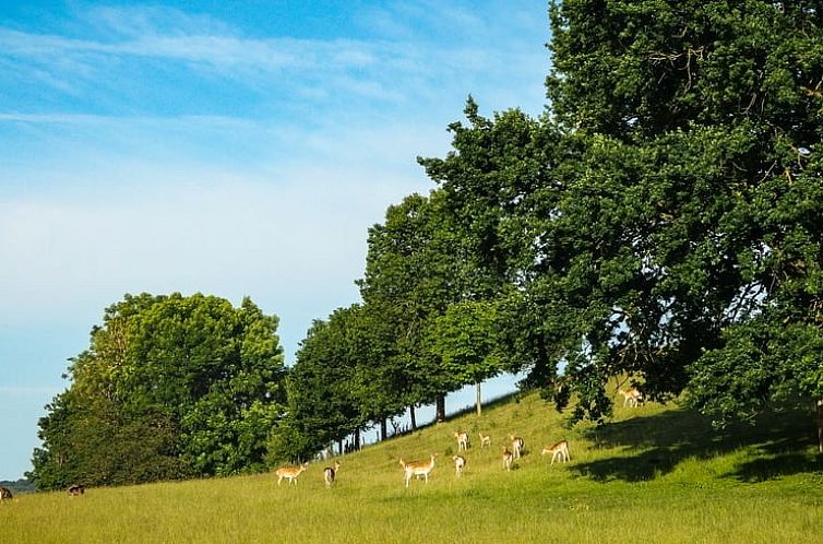 Vakantiehuisje in Schönecken