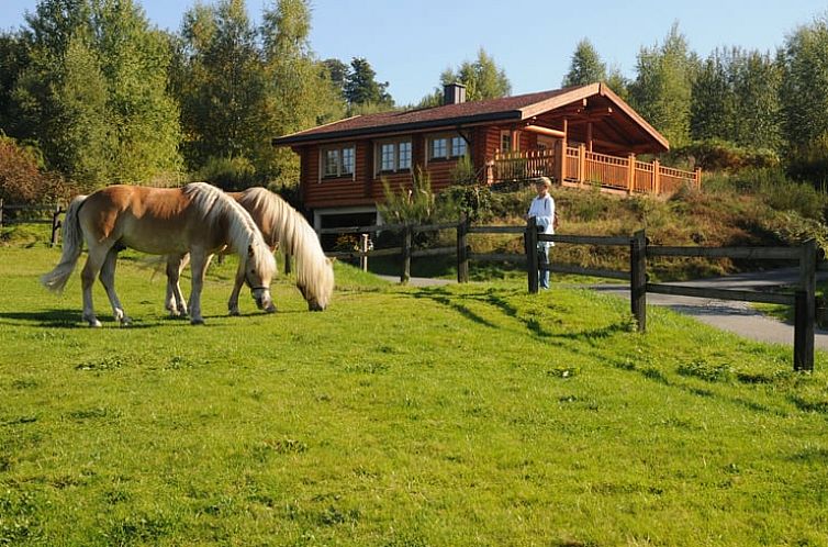 Vakantiehuisje in Arnsberg