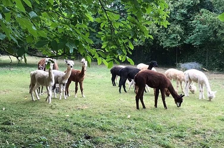 Huisje in Nideggen-Berg