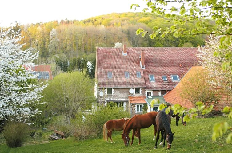 Vakantiehuis in Kalletal-Heidelbeck