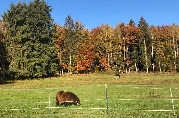 Huisje in Langweiler