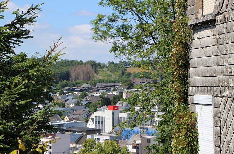 Vakantiehuis Tiny Haus Westerwald 16 Blue