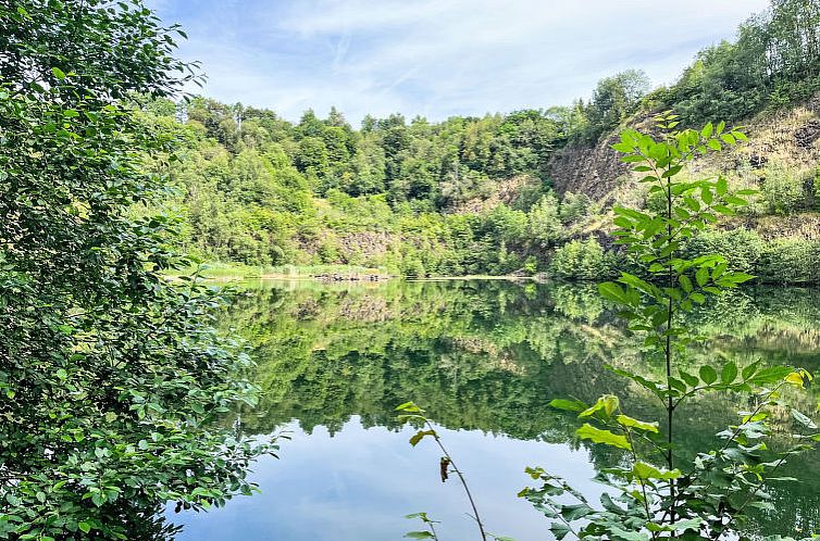 Vakantiehuis Tiny Haus Westerwald 16 Blue