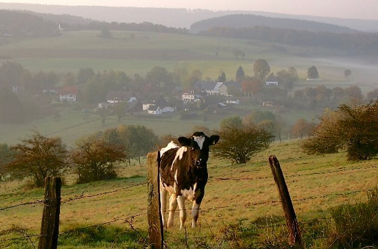 Vakantiehuisje in Herscheid