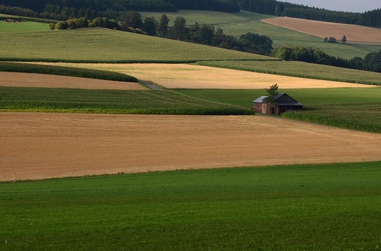 Vakantiehuis in Schmallenberg