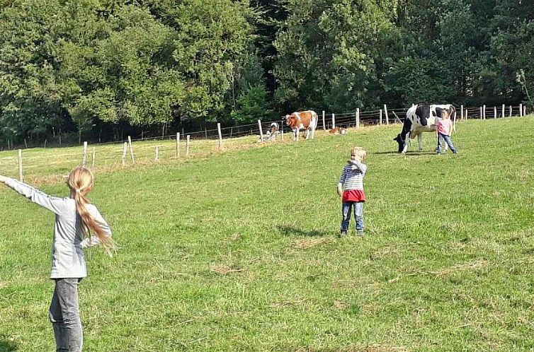 Comfortabel 5 persoons vakantiehuis op de boerderij in