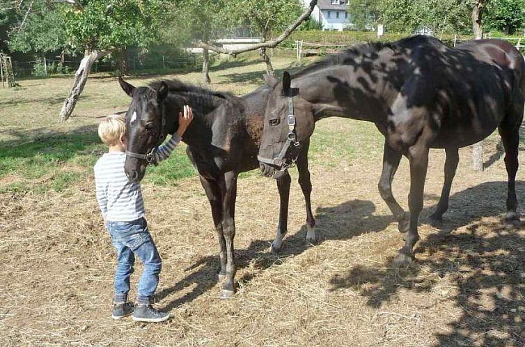 Comfortabel 5 persoons vakantiehuis op de boerderij in